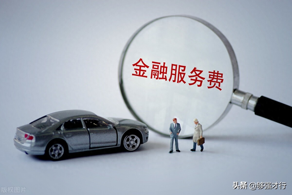 不押車不抵押綠本的車貸款(車輛抵押貸款押綠本)? (http://m.banchahatyai.com/) 知識(shí)問(wèn)答 第5張