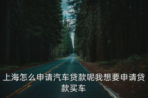 上海車牌貸款怎樣申請(qǐng)(上海車牌貸款申請(qǐng)了能取消嗎)? (http://m.banchahatyai.com/) 知識(shí)問答 第1張