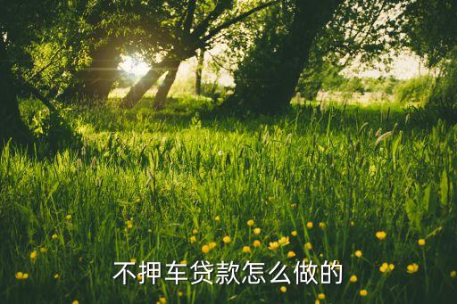 車(chē)子抵押貸款不押車(chē)(抵押車(chē)貸款風(fēng)險(xiǎn)大嗎)? (http://m.banchahatyai.com/) 知識(shí)問(wèn)答 第1張