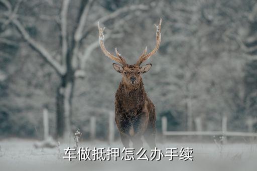 辦理車輛抵押貸款需要什么資料(抵押貸款車輛辦理資料需要哪些)？ (http://m.banchahatyai.com/) 知識問答 第1張