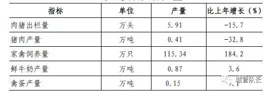 上海私家車抵押(上海抵押車私人抵押)？ (http://m.banchahatyai.com/) 知識問答 第2張